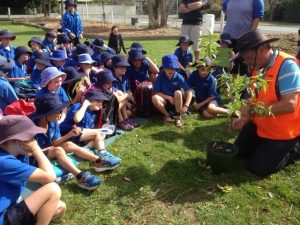 Kaiapoi's largest classroom